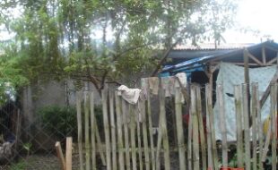 2564315 pic001