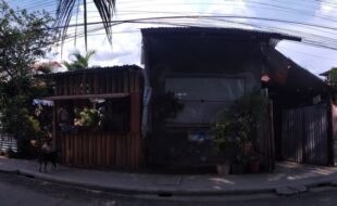 2564393 pic001