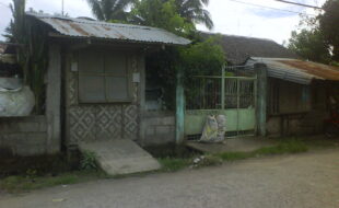 2568676 pic001
