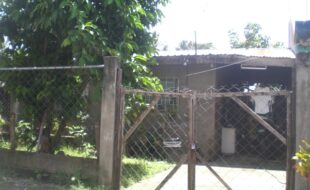 2569779 pic001