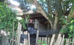 2570093 pic001