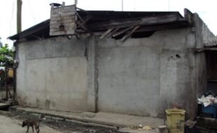 2573528 pic001