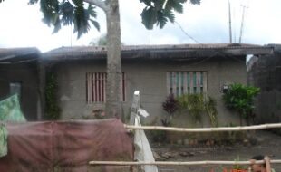 2573581 pic001