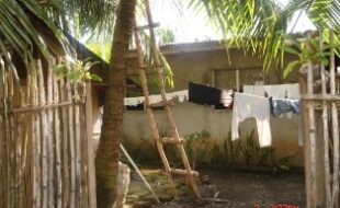 2576335 pic001
