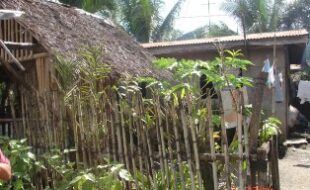 Foreclosed Properties Philippines Database 8 2576342 pic001