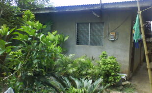 Foreclosed Properties Philippines Database 15 2576407 pic001