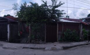 2576518 pic001