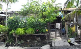 2576596 pic001