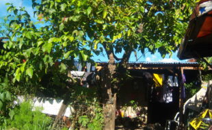 Foreclosed Properties Philippines Database 16 ยย ยฆยฌยฒยธยพรรรรรรขรจรฎ