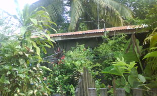 2587879 pic001