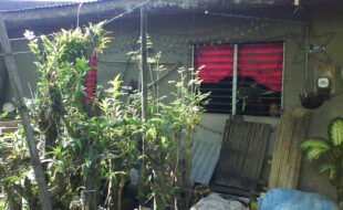2591563 pic001