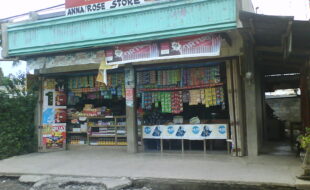 2591588 pic001