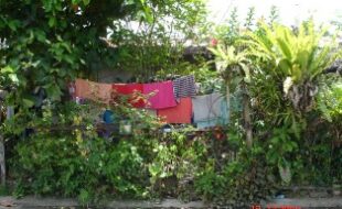 2591857 pic001