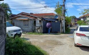 2592358 pic001