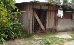 Foreclosed Properties Philippines Database 21 2594159 pic001