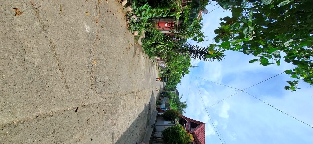 2594521 pic002 rotated