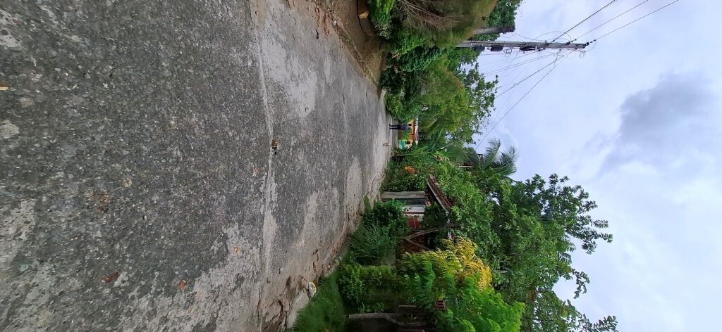 2605457 pic002 rotated