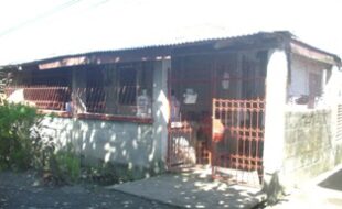 2609217 pic001