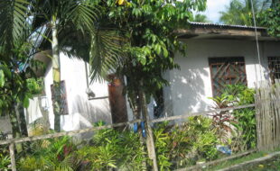 2640697 pic001