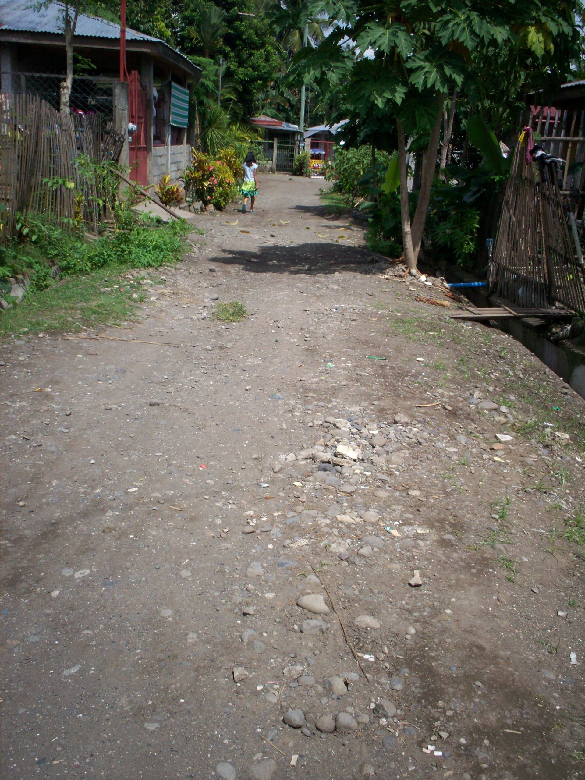2642814 pic002 scaled