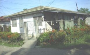 2652234 pic001
