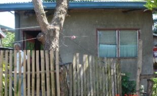 2654991 pic001