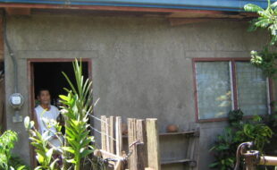 2655217 pic001
