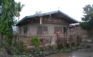 2655335 pic001