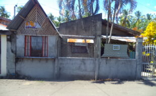 2657104 pic001