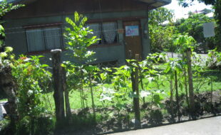 2661232 pic001