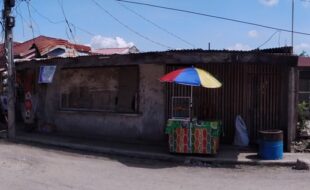 2663549 pic001