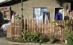 2665371 pic001
