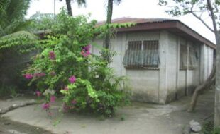 2666782 pic001