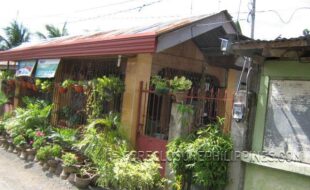 Foreclosed Properties Philippines Database 11 2668544 pic001