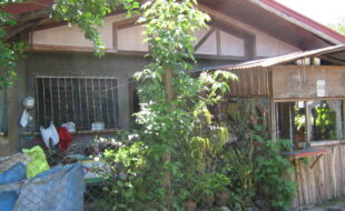 2671523 pic001
