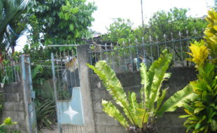 2672088 pic001