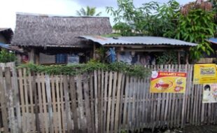 2673435 pic001