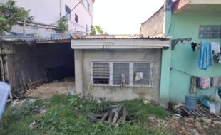2682196 pic001
