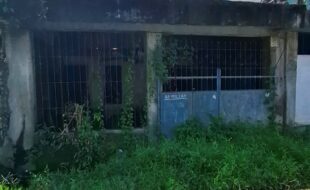 2682204 pic001