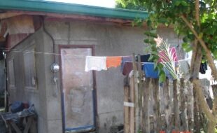 2685939 pic001