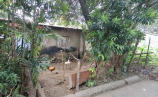 Foreclosed Properties Philippines Database 5 2693382 pic001