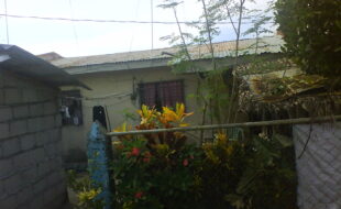 2699846 pic001