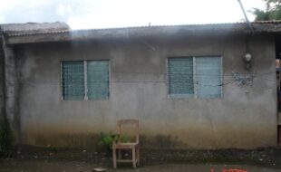2700265 pic001
