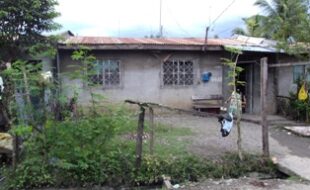 2700272 pic001
