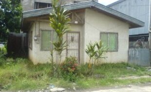 2701121 pic001