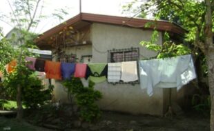 2701153 pic001