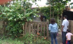 2701382 pic001