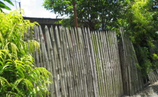 2707054 pic001