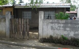 2707172 pic001