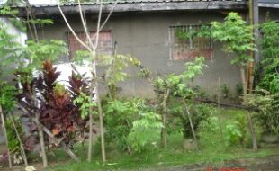 Foreclosed Properties Philippines Database 21 2709188 pic001